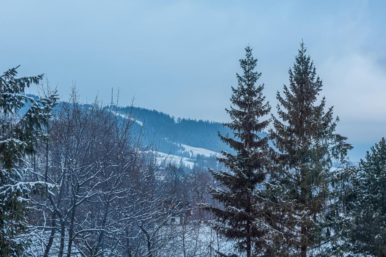 Zakopianskie Widoki Zakopane Dış mekan fotoğraf